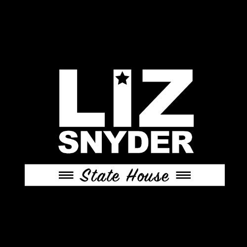 Liz Snyder for State House