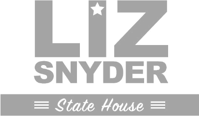 Liz Snyder for State House